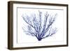 Azure Fan II-null-Framed Premium Giclee Print