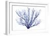 Azure Fan II-null-Framed Premium Giclee Print