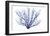 Azure Fan II-null-Framed Art Print