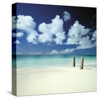 Azure II-Chris Simpson-Stretched Canvas