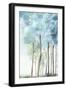 Azure Land II-Eva Watts-Framed Art Print