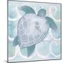 Azure Sea Creatures II-Elizabeth Medley-Mounted Art Print