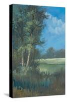Azure Sky I-Linda Wacaster-Stretched Canvas