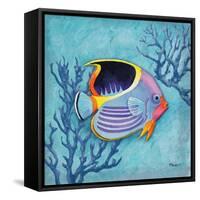 Azure Tropical Fish I-Paul Brent-Framed Stretched Canvas