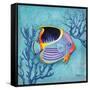 Azure Tropical Fish I-Paul Brent-Framed Stretched Canvas