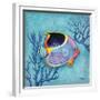 Azure Tropical Fish I-Paul Brent-Framed Premium Giclee Print