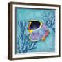 Azure Tropical Fish I-Paul Brent-Framed Art Print