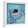 Azure Tropical Fish I-Paul Brent-Framed Art Print