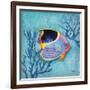 Azure Tropical Fish I-Paul Brent-Framed Art Print