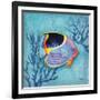 Azure Tropical Fish I-Paul Brent-Framed Art Print