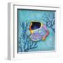 Azure Tropical Fish I-Paul Brent-Framed Art Print