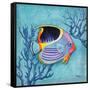 Azure Tropical Fish I-Paul Brent-Framed Stretched Canvas