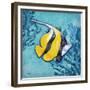 Azure Tropical Fish II-Paul Brent-Framed Premium Giclee Print