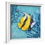 Azure Tropical Fish II-Paul Brent-Framed Premium Giclee Print