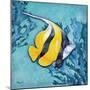 Azure Tropical Fish II-Paul Brent-Mounted Premium Giclee Print