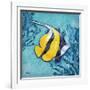 Azure Tropical Fish II-Paul Brent-Framed Art Print