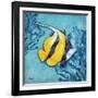 Azure Tropical Fish II-Paul Brent-Framed Art Print