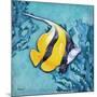 Azure Tropical Fish II-Paul Brent-Mounted Art Print