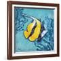 Azure Tropical Fish II-Paul Brent-Framed Art Print