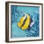 Azure Tropical Fish II-Paul Brent-Framed Art Print