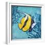 Azure Tropical Fish II-Paul Brent-Framed Art Print