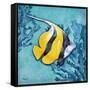 Azure Tropical Fish II-Paul Brent-Framed Stretched Canvas