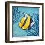 Azure Tropical Fish II-Paul Brent-Framed Art Print