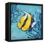 Azure Tropical Fish II-Paul Brent-Framed Stretched Canvas
