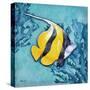 Azure Tropical Fish II-Paul Brent-Stretched Canvas