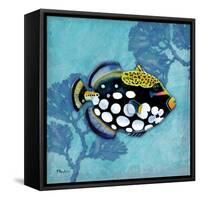 Azure Tropical Fish III-Paul Brent-Framed Stretched Canvas