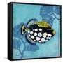 Azure Tropical Fish III-Paul Brent-Framed Stretched Canvas