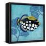 Azure Tropical Fish III-Paul Brent-Framed Stretched Canvas