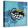 Azure Tropical Fish III-Paul Brent-Stretched Canvas