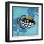 Azure Tropical Fish III-Paul Brent-Framed Art Print