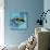 Azure Tropical Fish III-Paul Brent-Art Print displayed on a wall