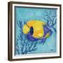 Azure Tropical Fish V-Paul Brent-Framed Premium Giclee Print