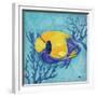 Azure Tropical Fish V-Paul Brent-Framed Premium Giclee Print