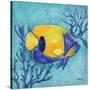 Azure Tropical Fish V-Paul Brent-Stretched Canvas