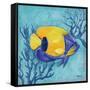 Azure Tropical Fish V-Paul Brent-Framed Stretched Canvas