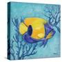 Azure Tropical Fish V-Paul Brent-Stretched Canvas