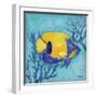 Azure Tropical Fish V-Paul Brent-Framed Art Print