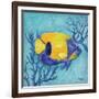 Azure Tropical Fish V-Paul Brent-Framed Premium Giclee Print