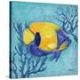 Azure Tropical Fish V-Paul Brent-Stretched Canvas