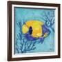 Azure Tropical Fish V-Paul Brent-Framed Art Print