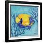 Azure Tropical Fish V-Paul Brent-Framed Art Print