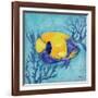 Azure Tropical Fish V-Paul Brent-Framed Art Print