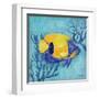 Azure Tropical Fish V-Paul Brent-Framed Art Print