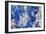 Azurite / Chessylite, soft, deep blue copper mineral-Philippe Clement-Framed Photographic Print