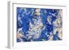 Azurite / Chessylite, soft, deep blue copper mineral-Philippe Clement-Framed Photographic Print