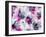 B_0016-Li Bo-Framed Giclee Print